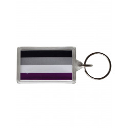 Asexual Flag Key Ring (T5148)
