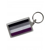 Asexual Flag Key Ring (T5148)