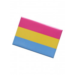 Pansexual Flag Magnet (T5134)
