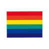 Rainbow Pride Aufkleber / Sticker 5,0 x 7,6cm / 2 x 3 inch (T1042)