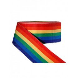 Rainbow Ribbon 3/8inch / 10mm wide 10m (T1532)