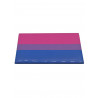 Bisexual Flag Magnet (T5130)
