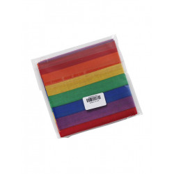 Rainbow Bandana 50 x 50 cm (T6325)