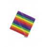 Rainbow Napkins / Servietten 20-pack (T6322)