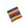 Rainbow Napkins / Servietten 20-pack (T6322)