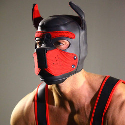 Rude Rider Neoprene Puppy Hood Red (T7273)