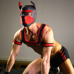 Rude Rider Neoprene Harness Black/Red (T7254)