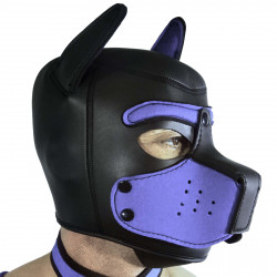 RudeRider Neoprene Puppy Hood Blue (T7276)