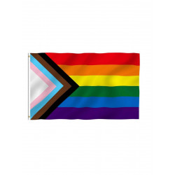 Progress Rainbow Flag 60 x 90 cm (T8421)