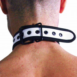 Rude Rider Neoprene Puppy Collar White (T7268)