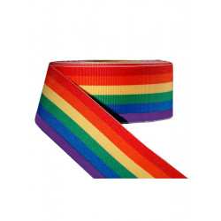 Rainbow Ribbon 1 1/2inch / 38mm wide 100m (T1539)