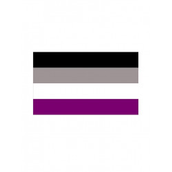 Asexual Flag Aufkleber / Sticker 5.0 x 7,6 cm / 2 x 3 inch (T5200)