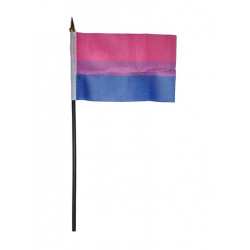 Bi Hand Flag / Handflagge (T5207)